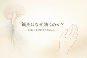 鍼灸の治効理論をわかりやすく解説｜EBMと東洋医学の統合