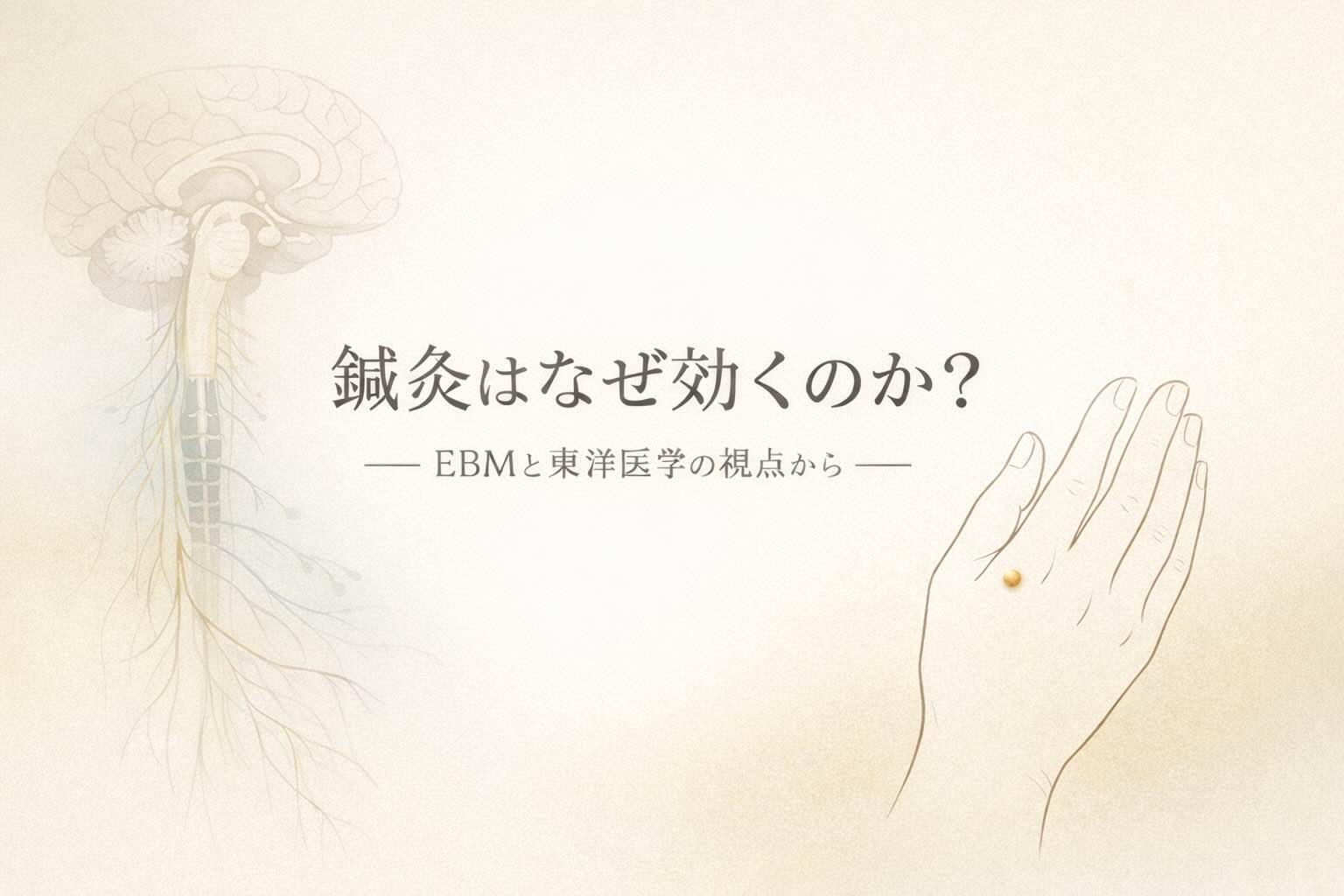 鍼灸の治効理論をわかりやすく解説｜EBMと東洋医学の統合